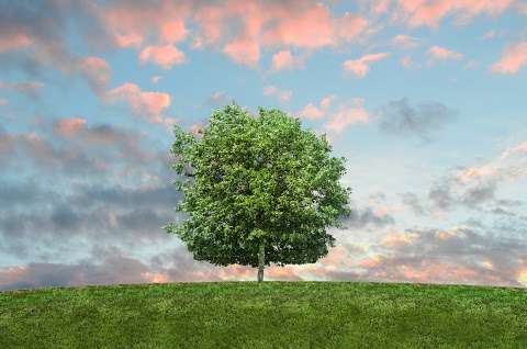 Target Recycling Services Target Recycling Services